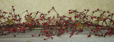 Pip Berry Garland With Stars, Red and Burgundy, 40